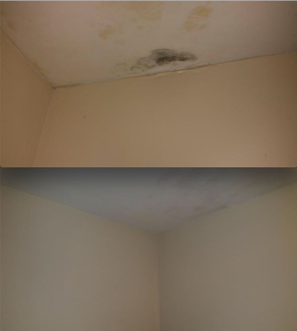 Before/After: Water/Mold Damaged Ceiling