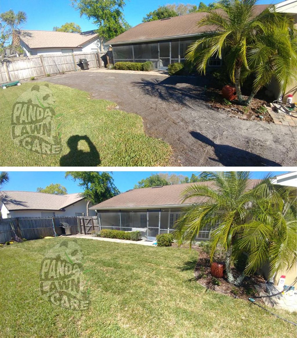 SOD SOD SOD EVERYWHERE SOD