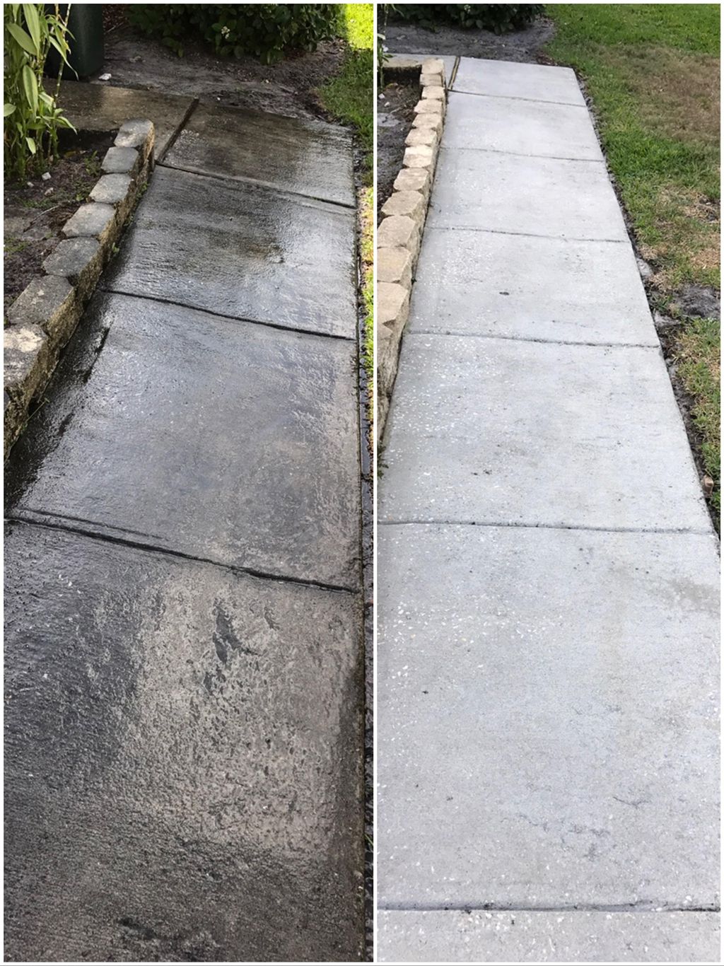 Walkway mold and mildew removal 