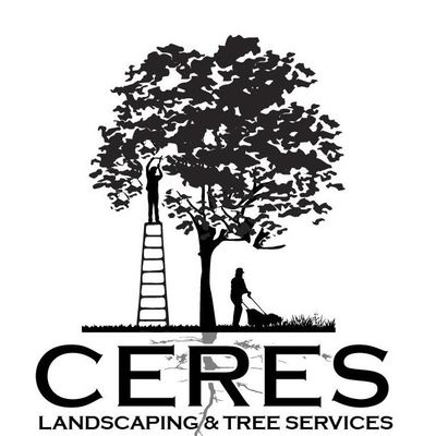 Avatar for Ceres Services