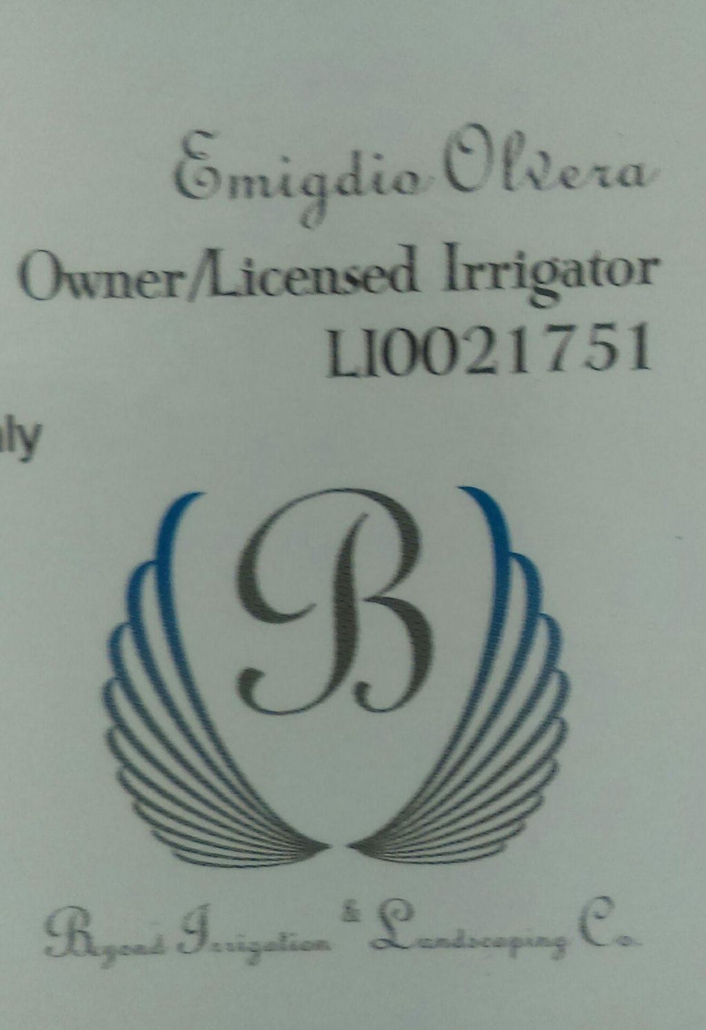 Beyond Irrigation & Landscaping Co.
