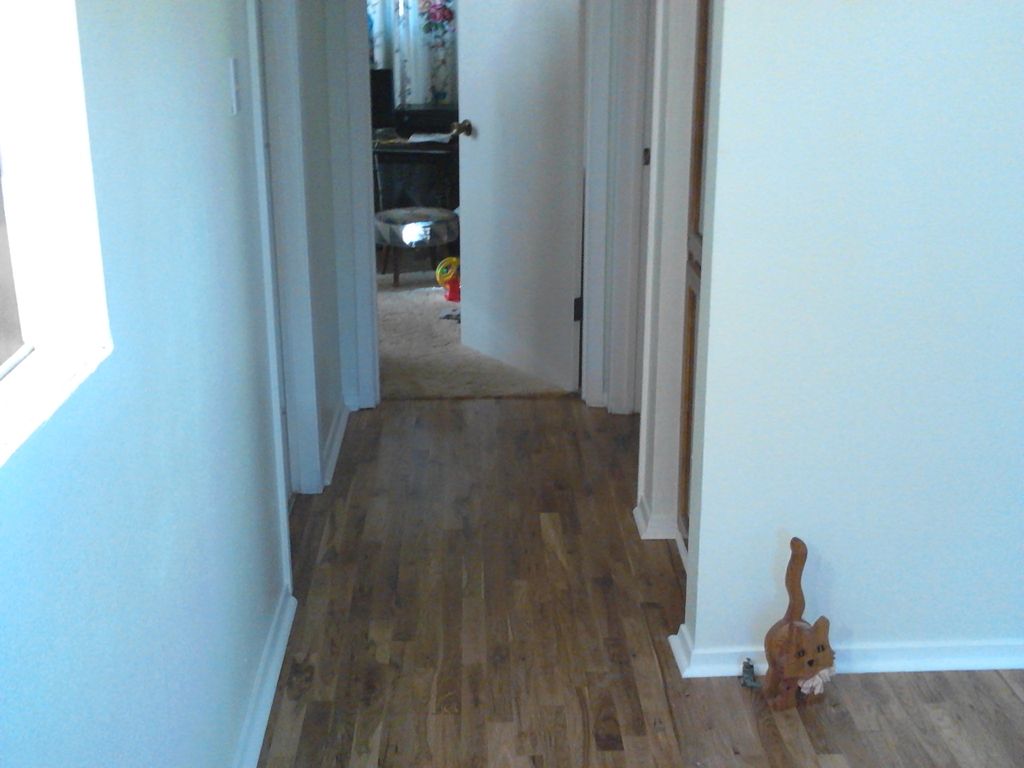 Flooring and Baseboard install