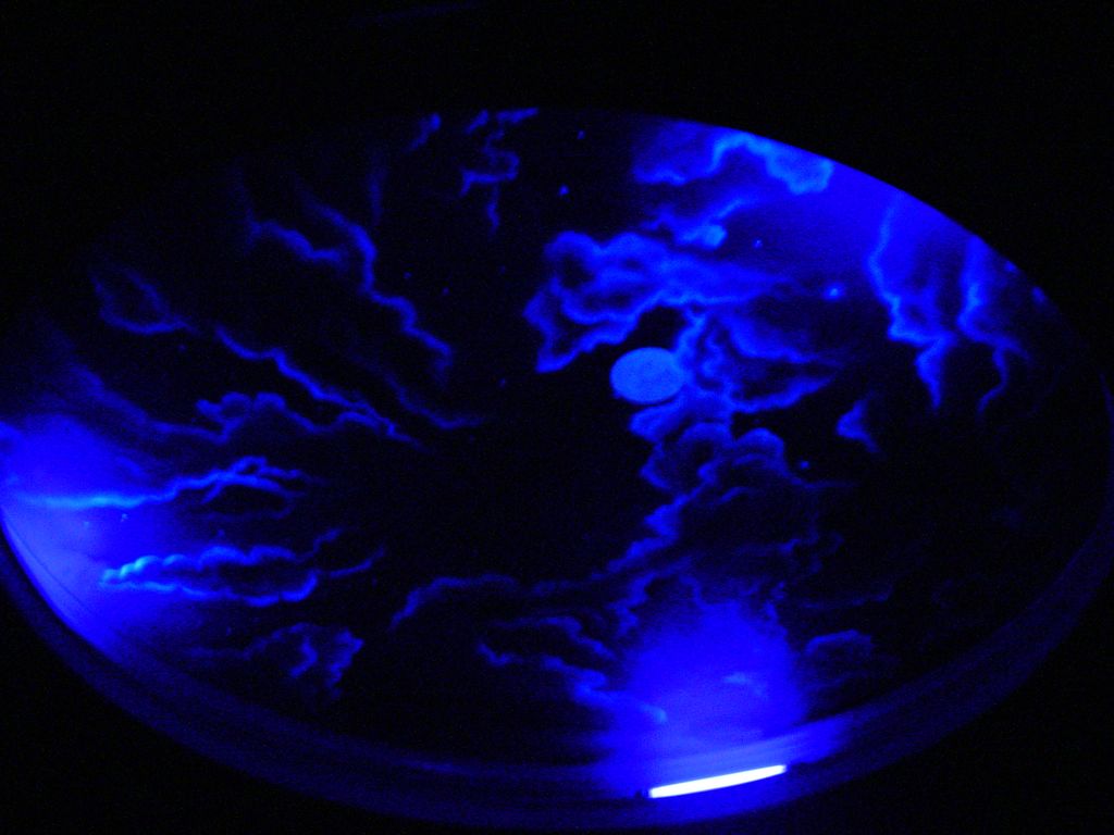 "Theatre Room Ceiling with UV"