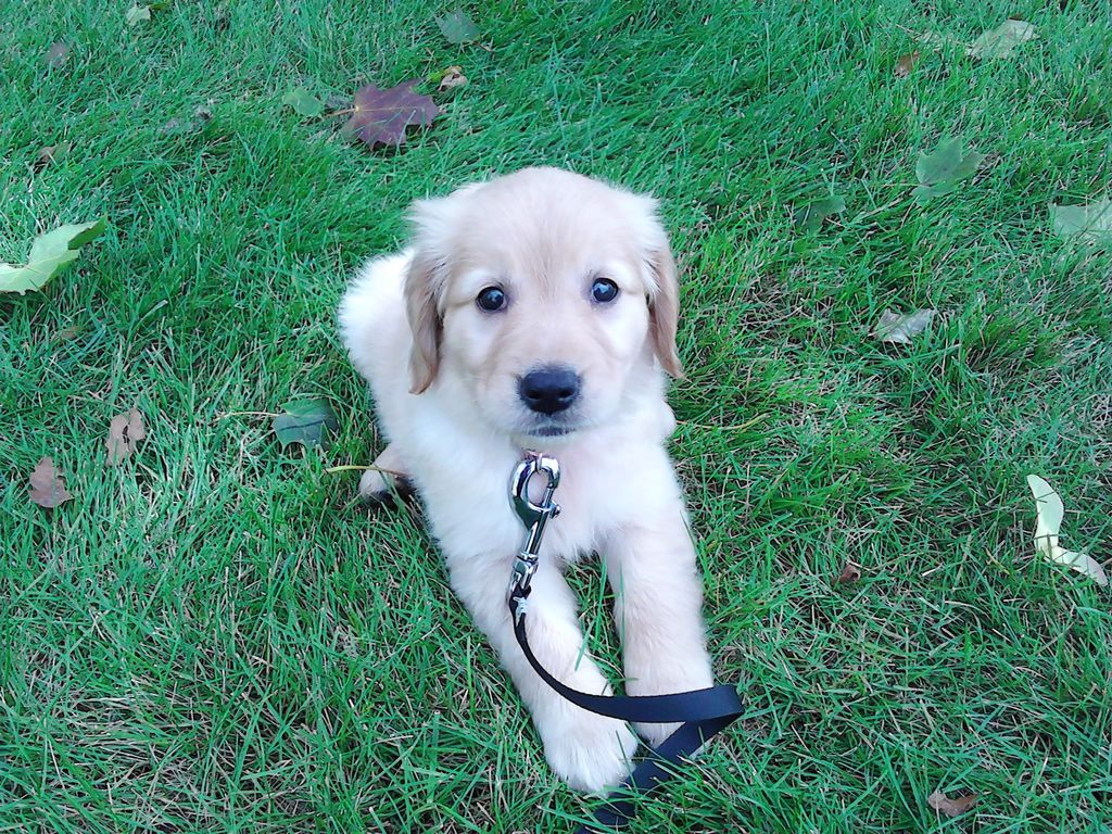 Another one of my lunch buddies, Cali, enjoying ou