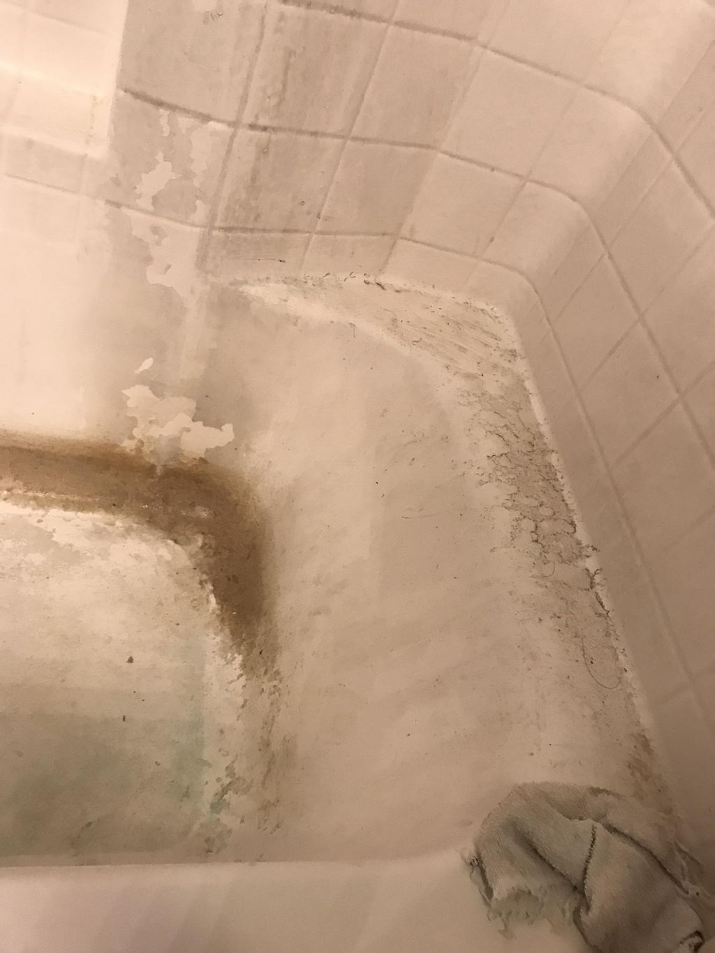 Roughly 2 years of grime, dirt, and mildew 