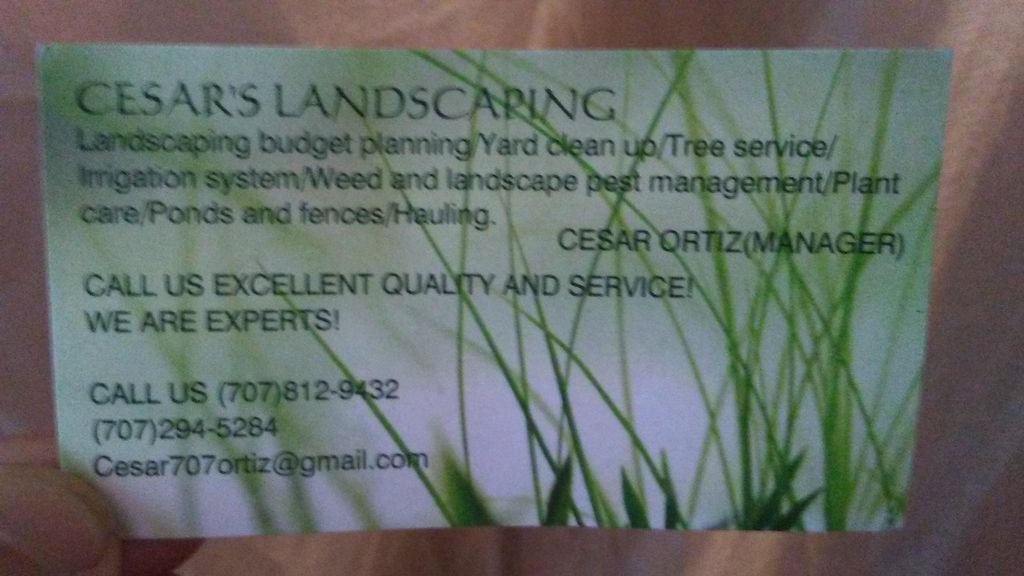 Cesar's Landscaping Services