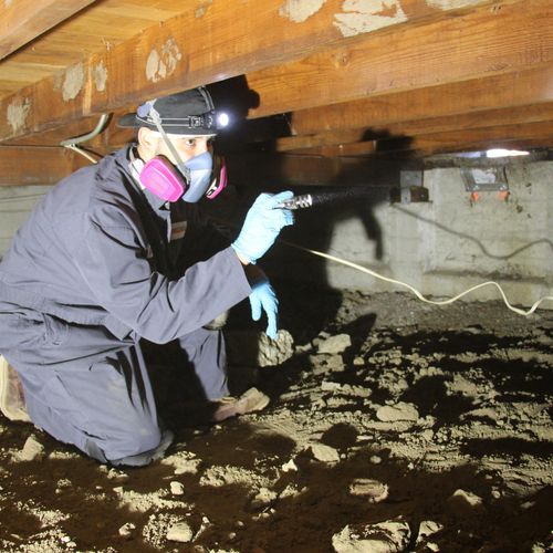 Crawl space Inspection