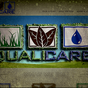 Website Design - qualicarelandscape.com