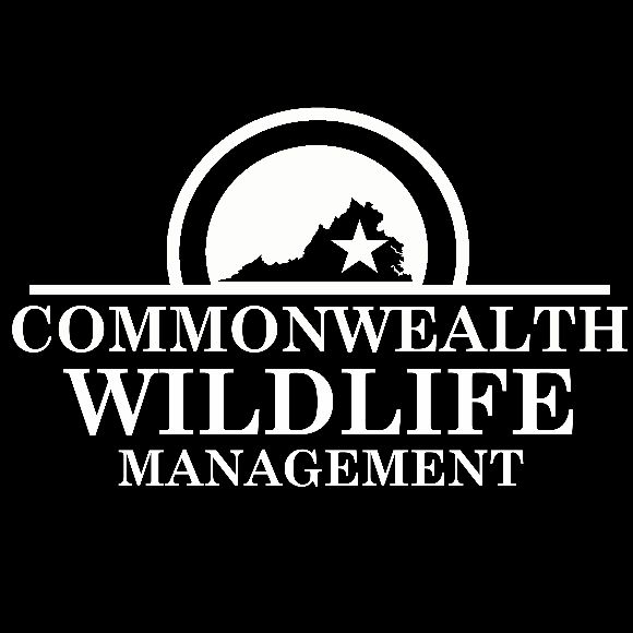 Commonwealth Wildlife Management