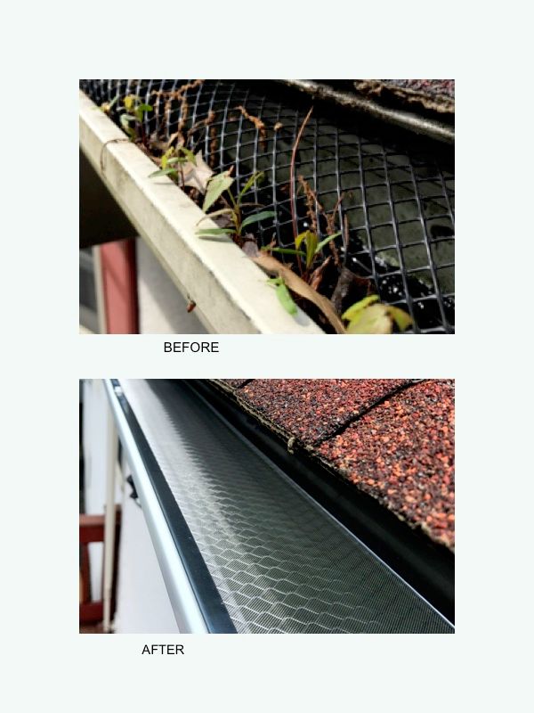 Before and After Leaf Protection