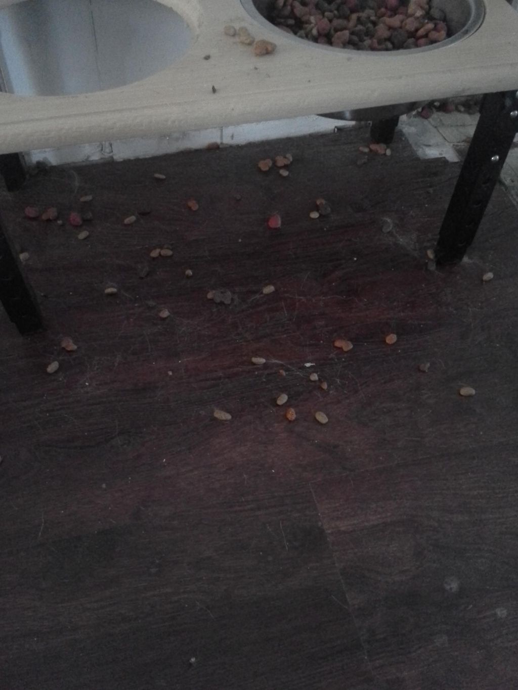 Do you have a dog that makes messes like this on t