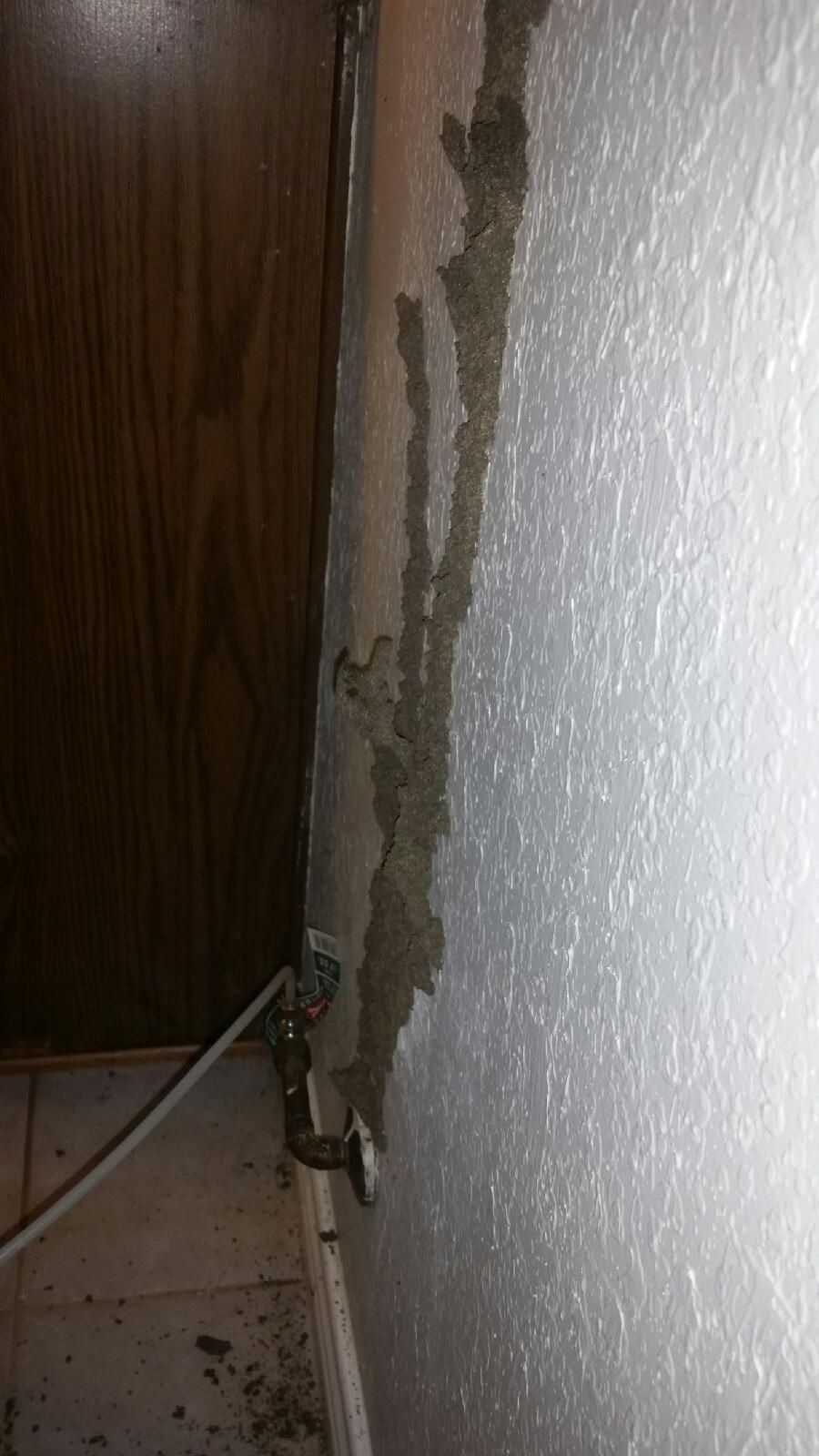 Termite Job