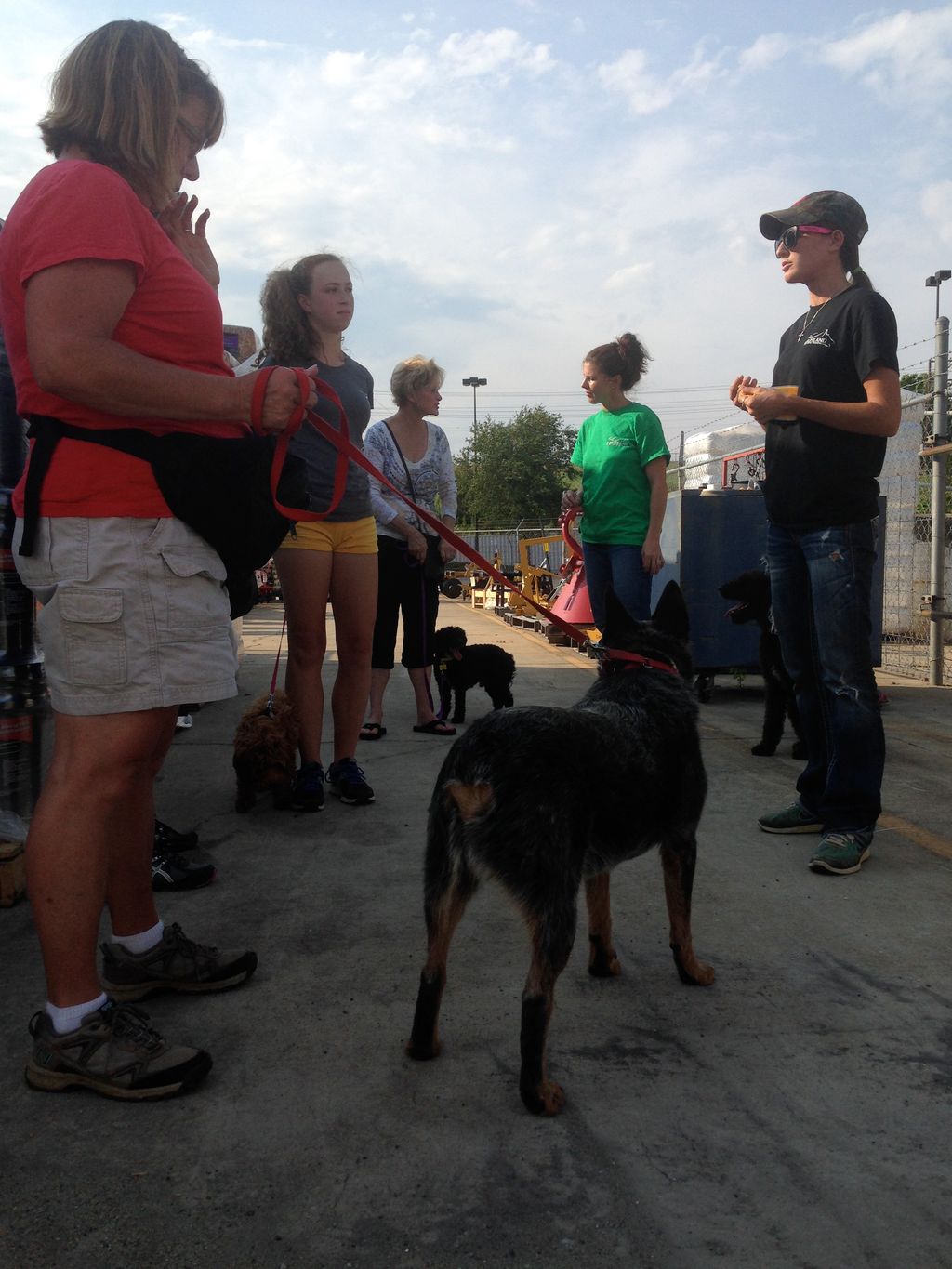 Basic Obedience Group class participants at Tracto