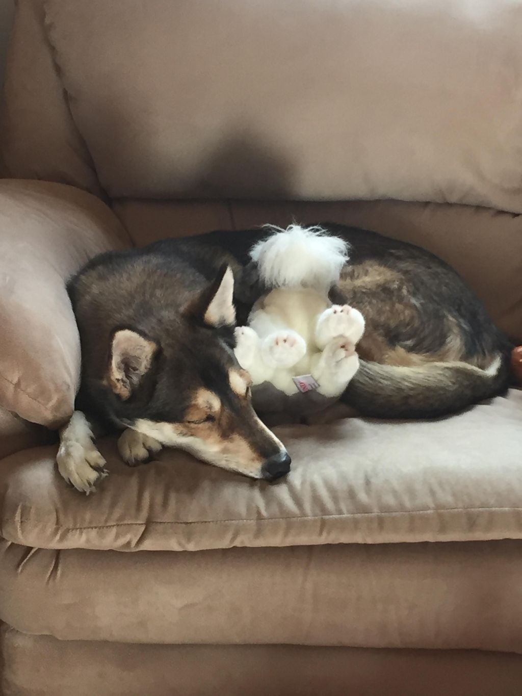Evey Lynn and her snuggly toy on the couch - the m