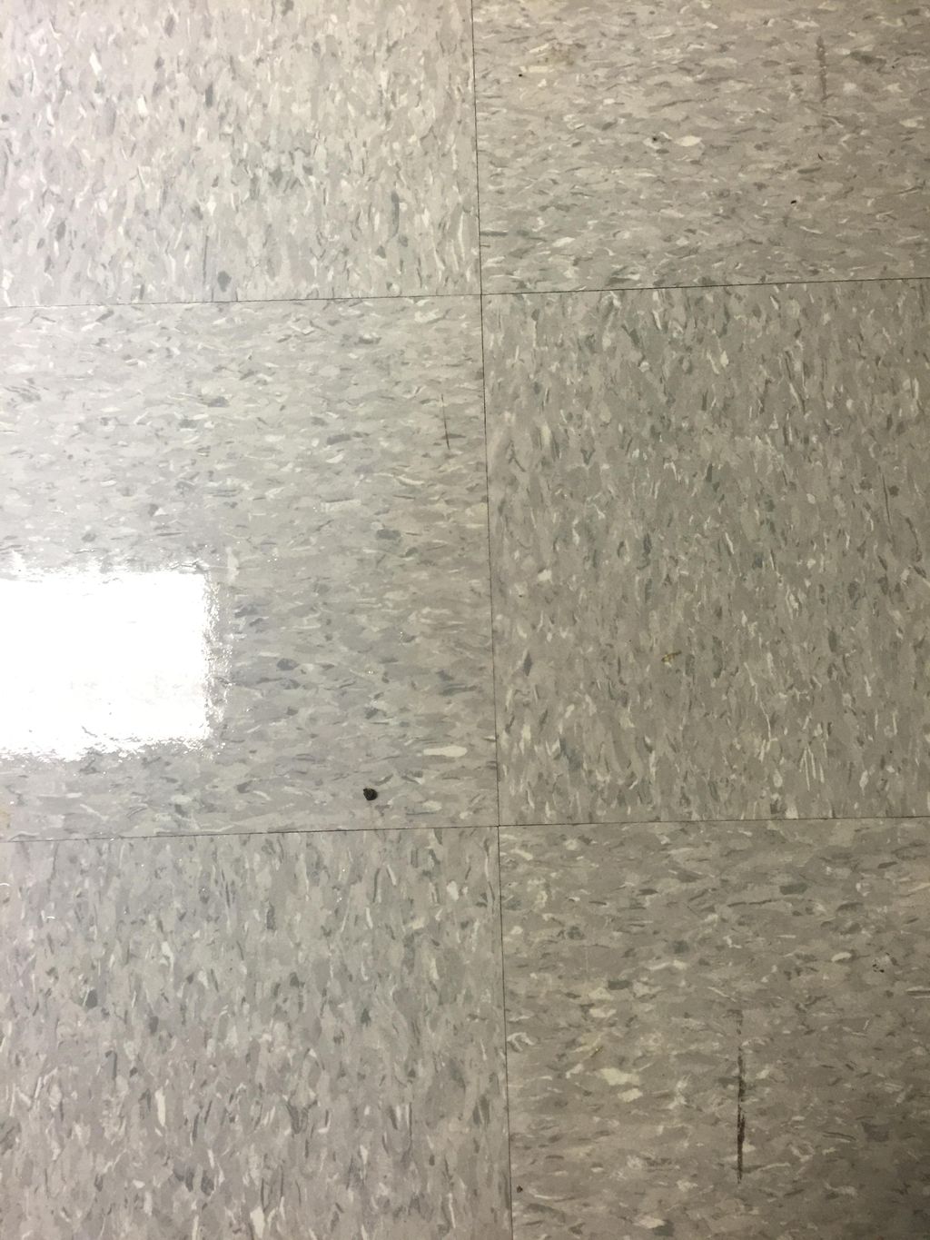 Freshly Waxed VCT Floor