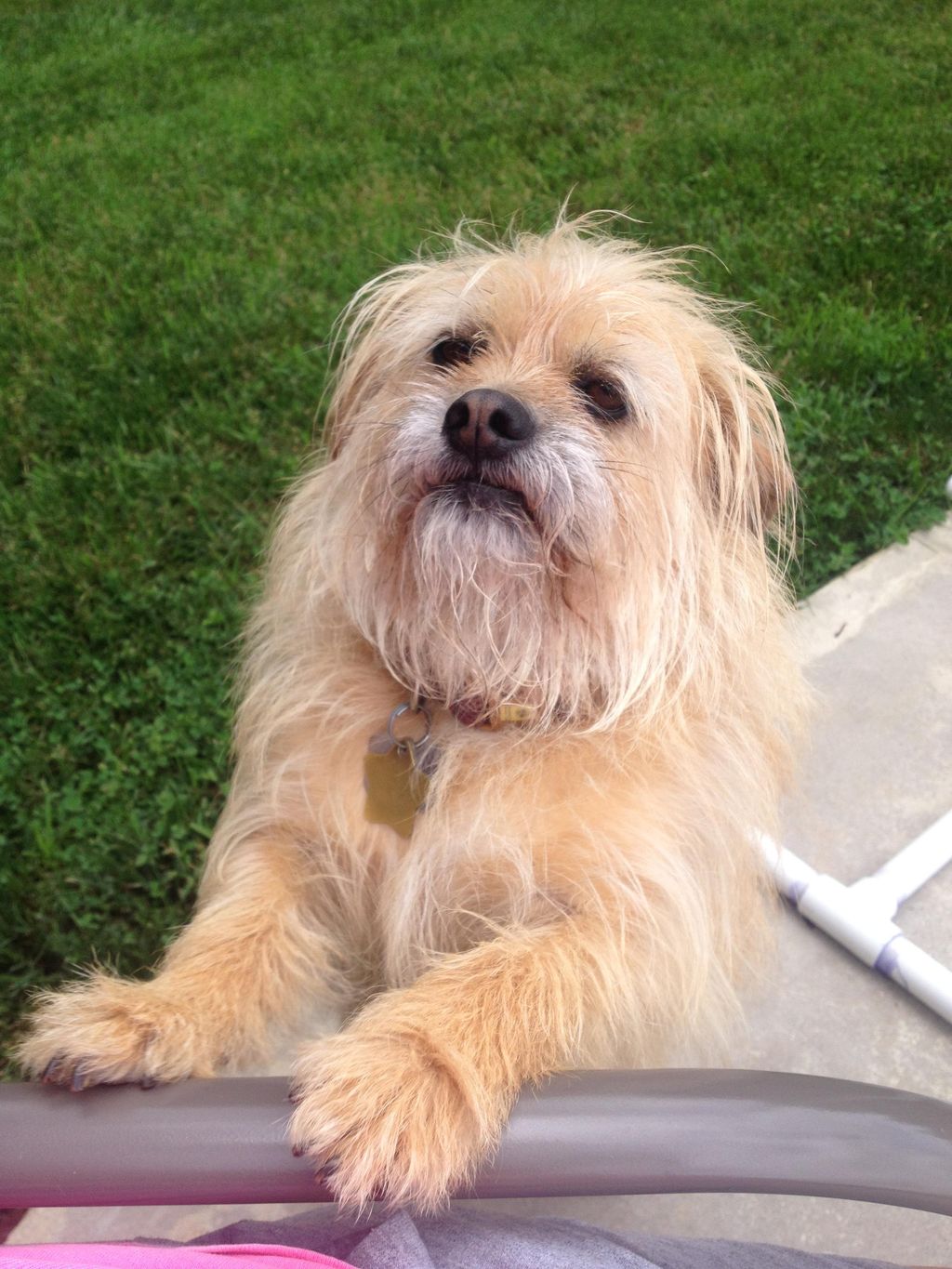 Cooper wants some more lovin;