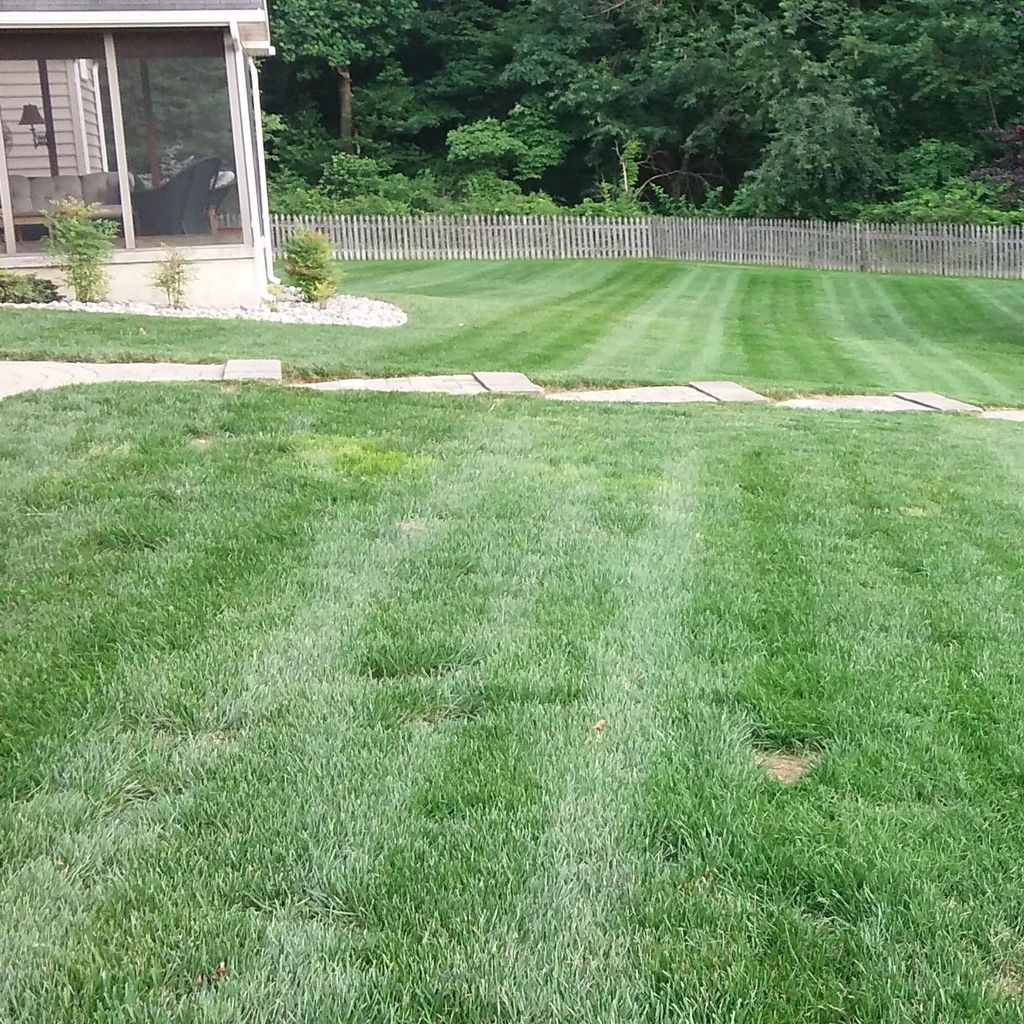 angel's lawn care & Landscaping