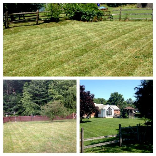 More examples of beautiful yards we take care of.