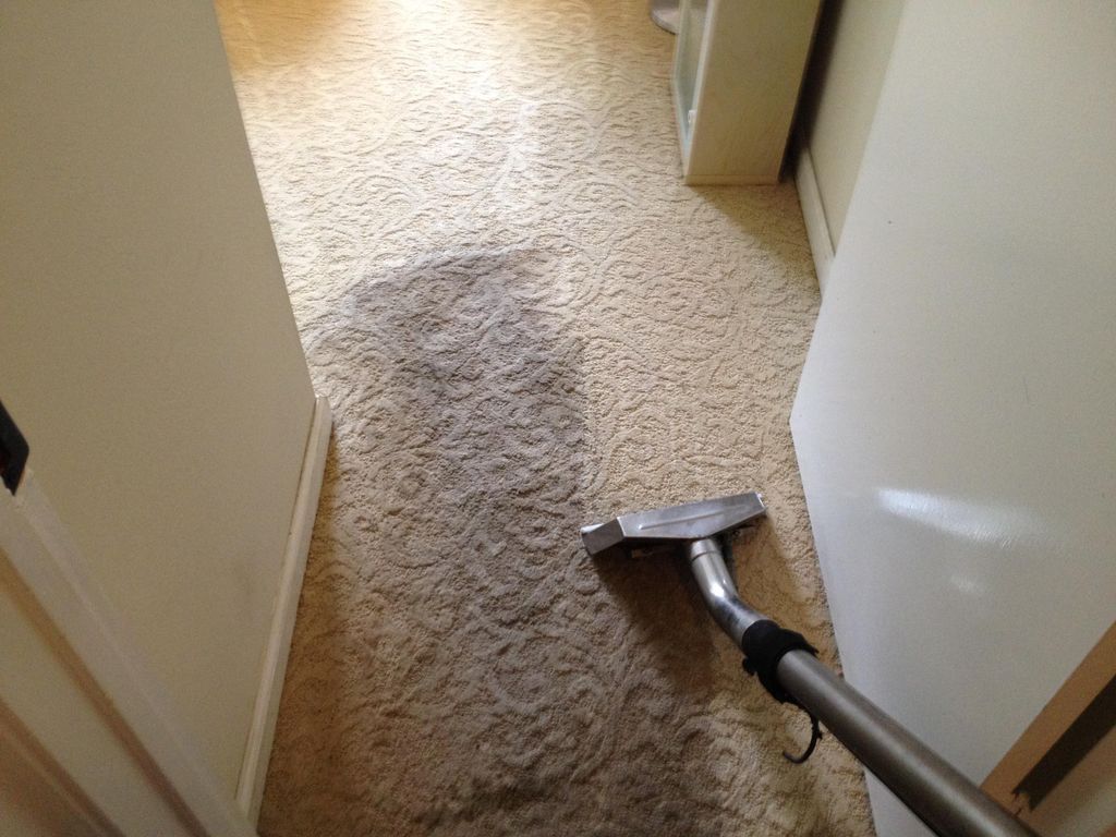 Carpets snap back like new with cleaning.