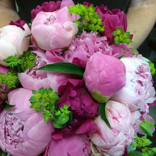 Soft Pink and Hot Pink Peonies. hand held Bouquet