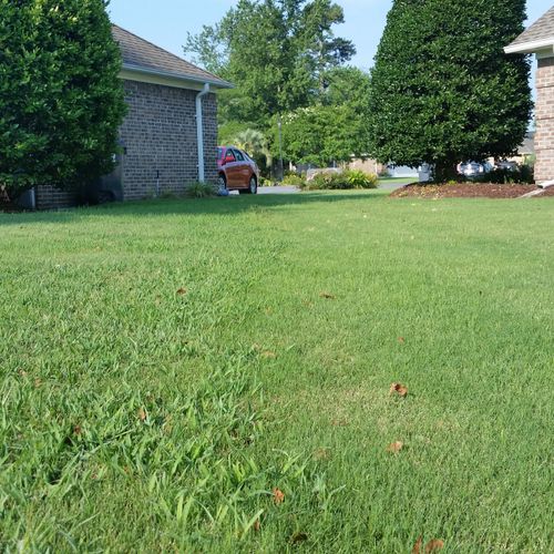Can you tell which lawn we service? July 2015.