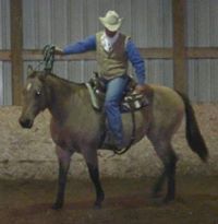 Practicing Horsemanship