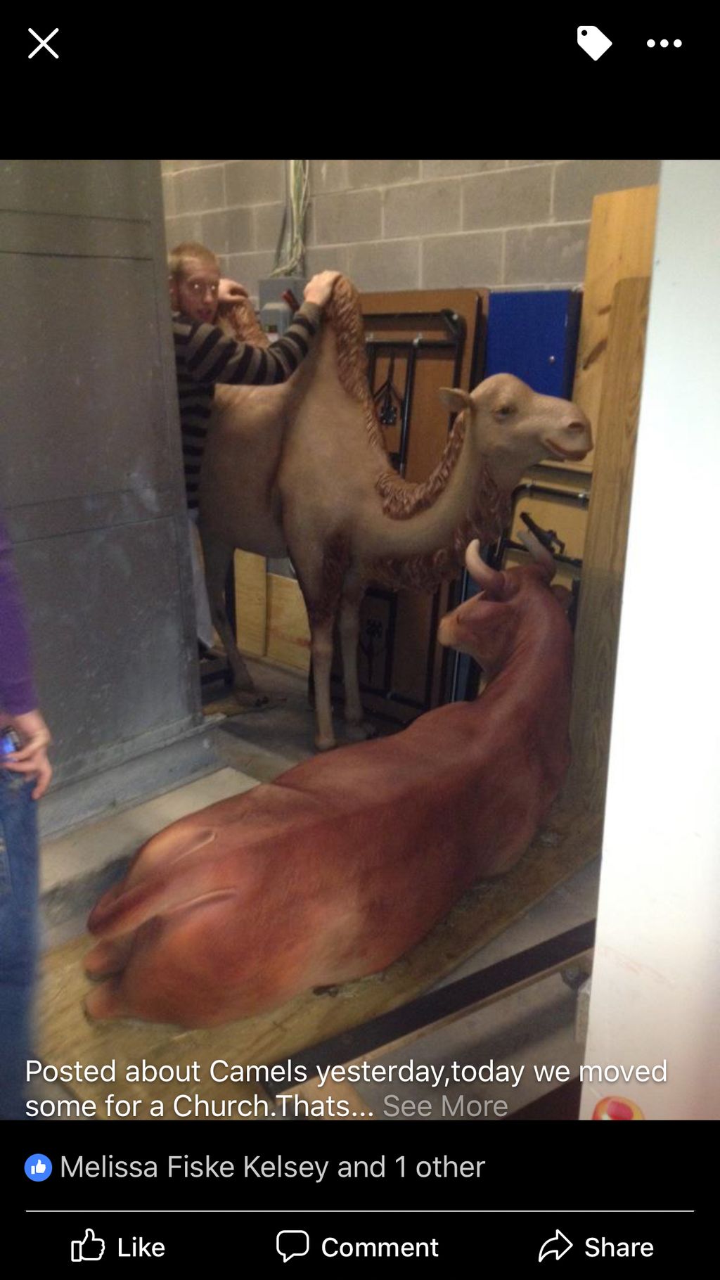 Church needed us to move their Nativity Scene.