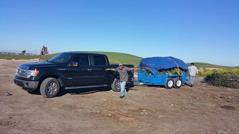 at the dump with my sons truck