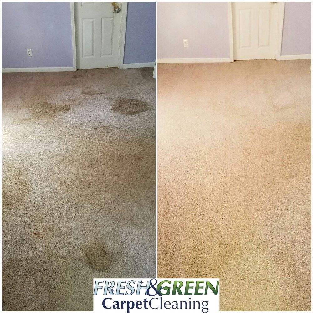 Pet Stains a Problem? Call Us First!