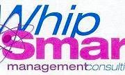 Whip-Smart Consulting & Mentoring