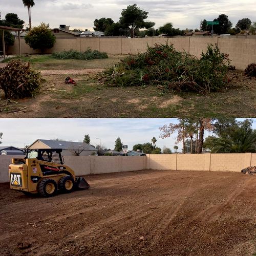 Excavation and cleanup services. Before and After
