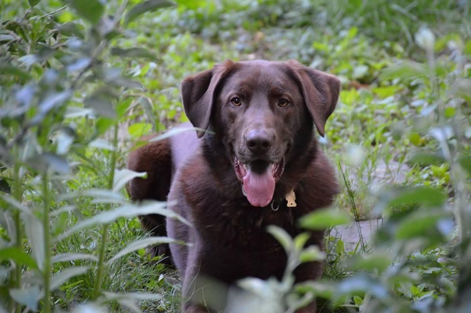 Bromley, client since 2015