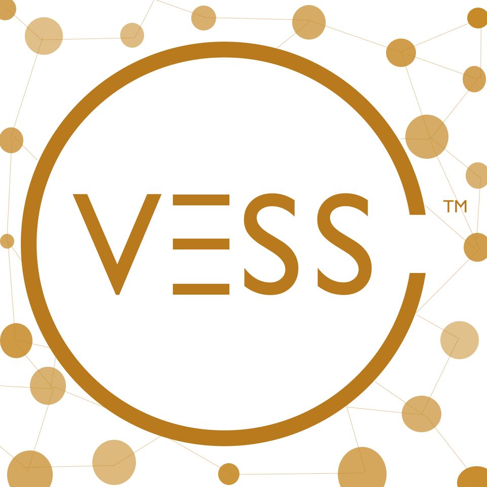 VESS Consulting Group