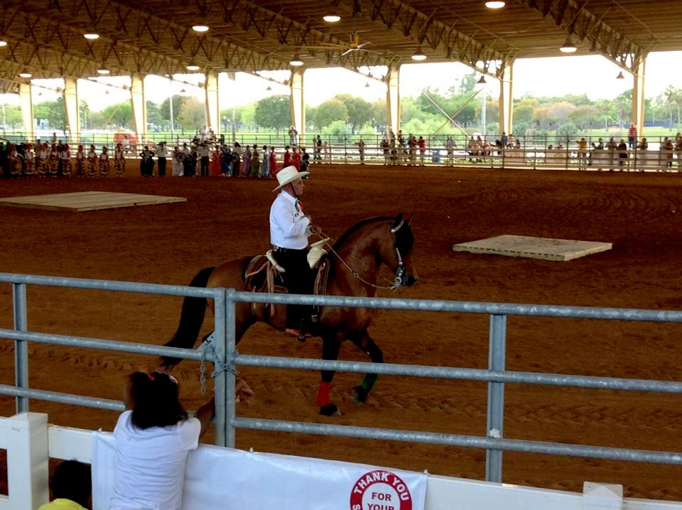 Imagine and owner at a spanish horse show. Imagine