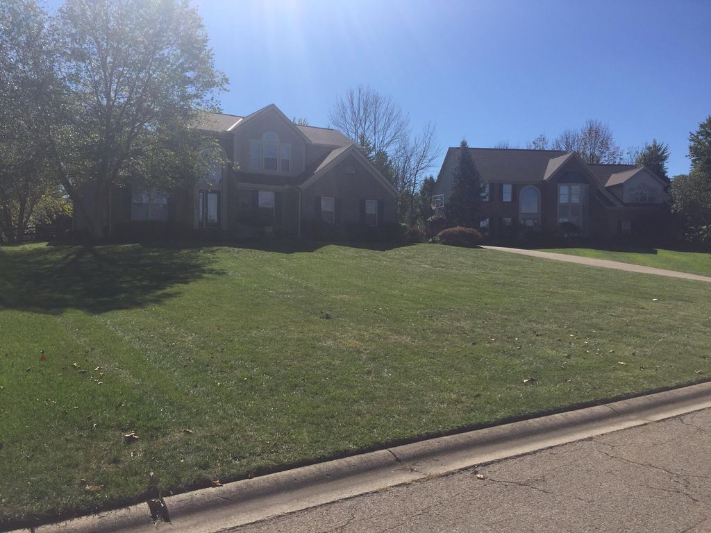 Standard service of mow, trim, and cleanup.