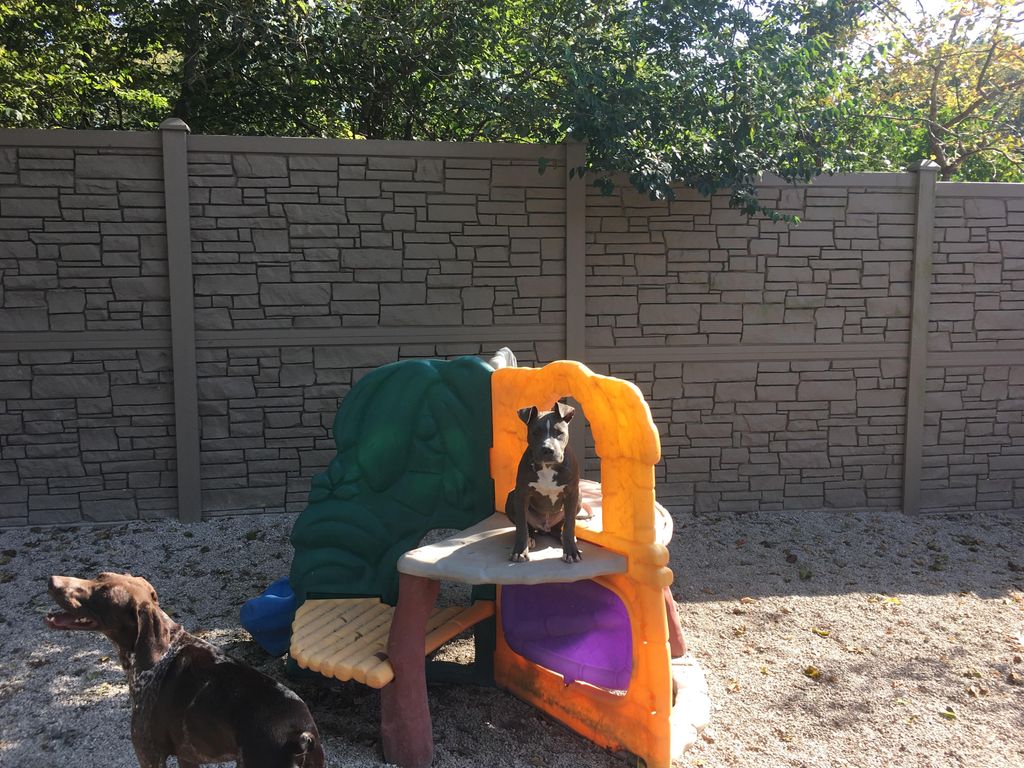 Linus Sit Staying like a pro!