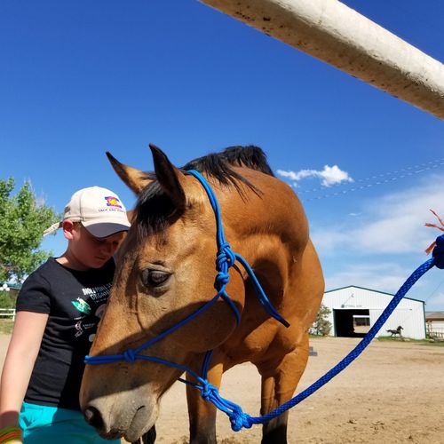 An equine assisted session