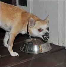 Resource guarding no more!!