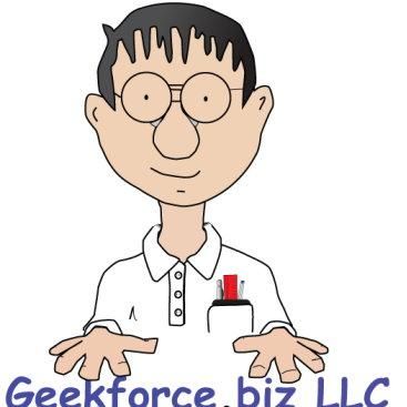 GEEKFORCE.BIZ LLC