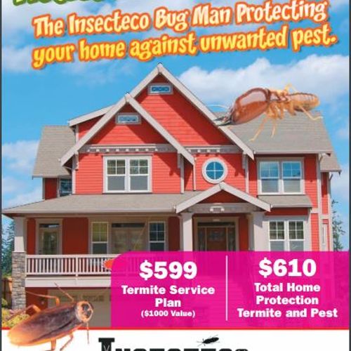 Termite Special Limited time for qualifying homes!