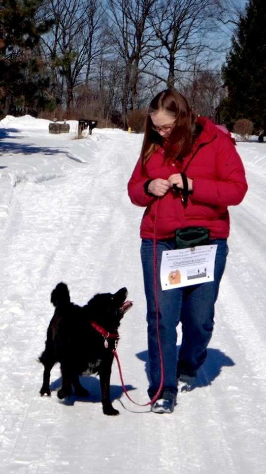 We're working on loose-leash walking and focus.