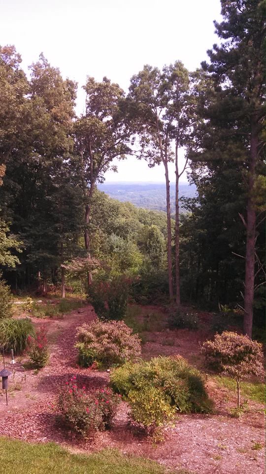 View enhancement