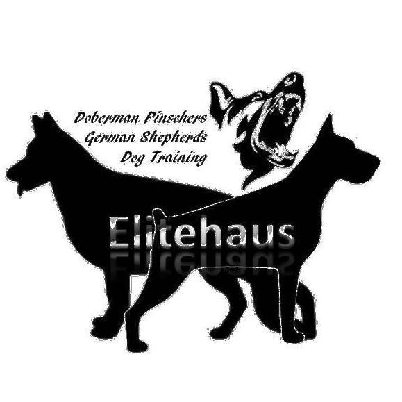 Elitehaus Dog Training & Breeding