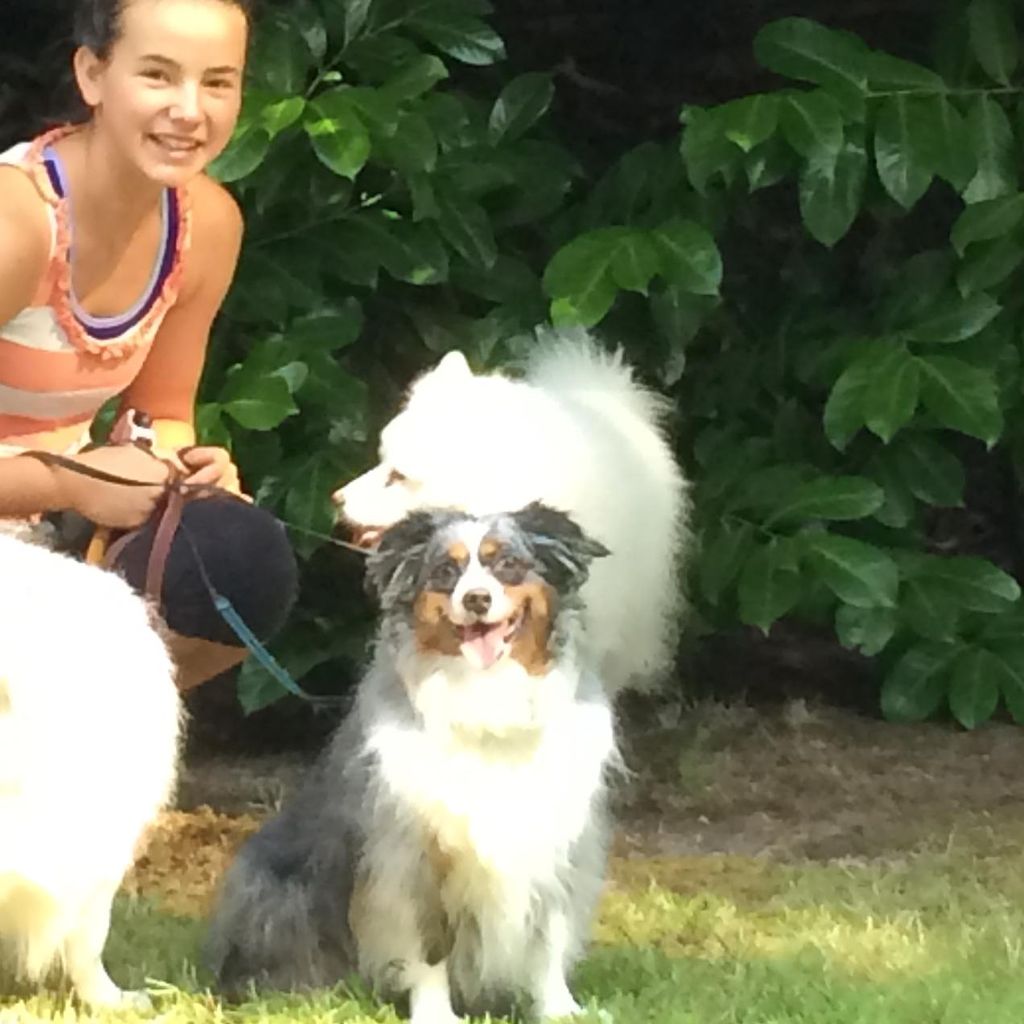 Maya's Fun and Affordable Pet Care!