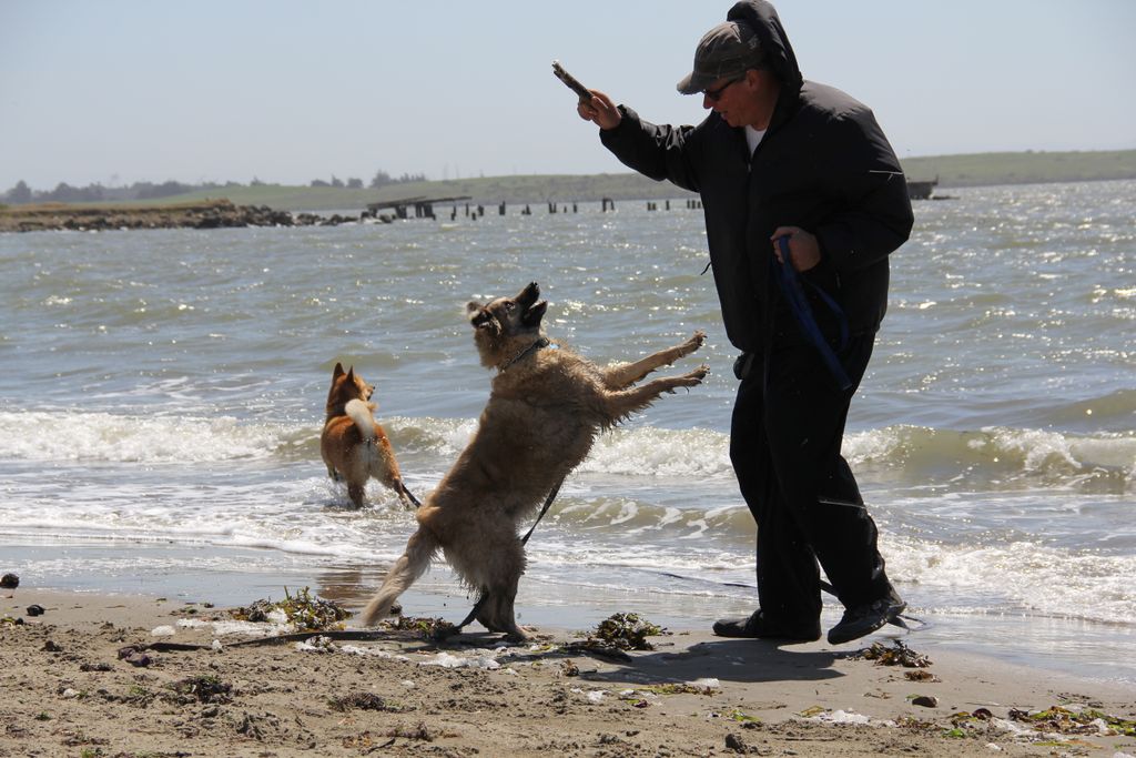Walking and Swimming at Albany Bulb.