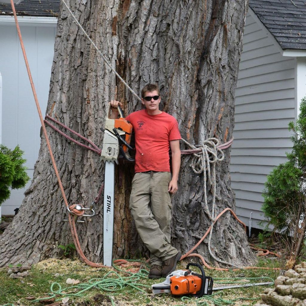 Good Times Tree Service