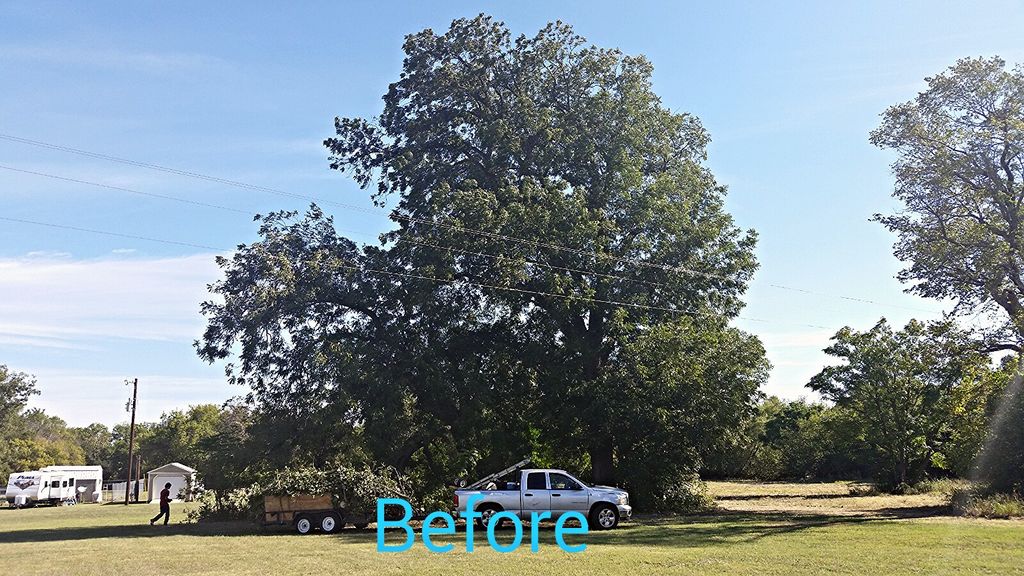 before weight reduction
