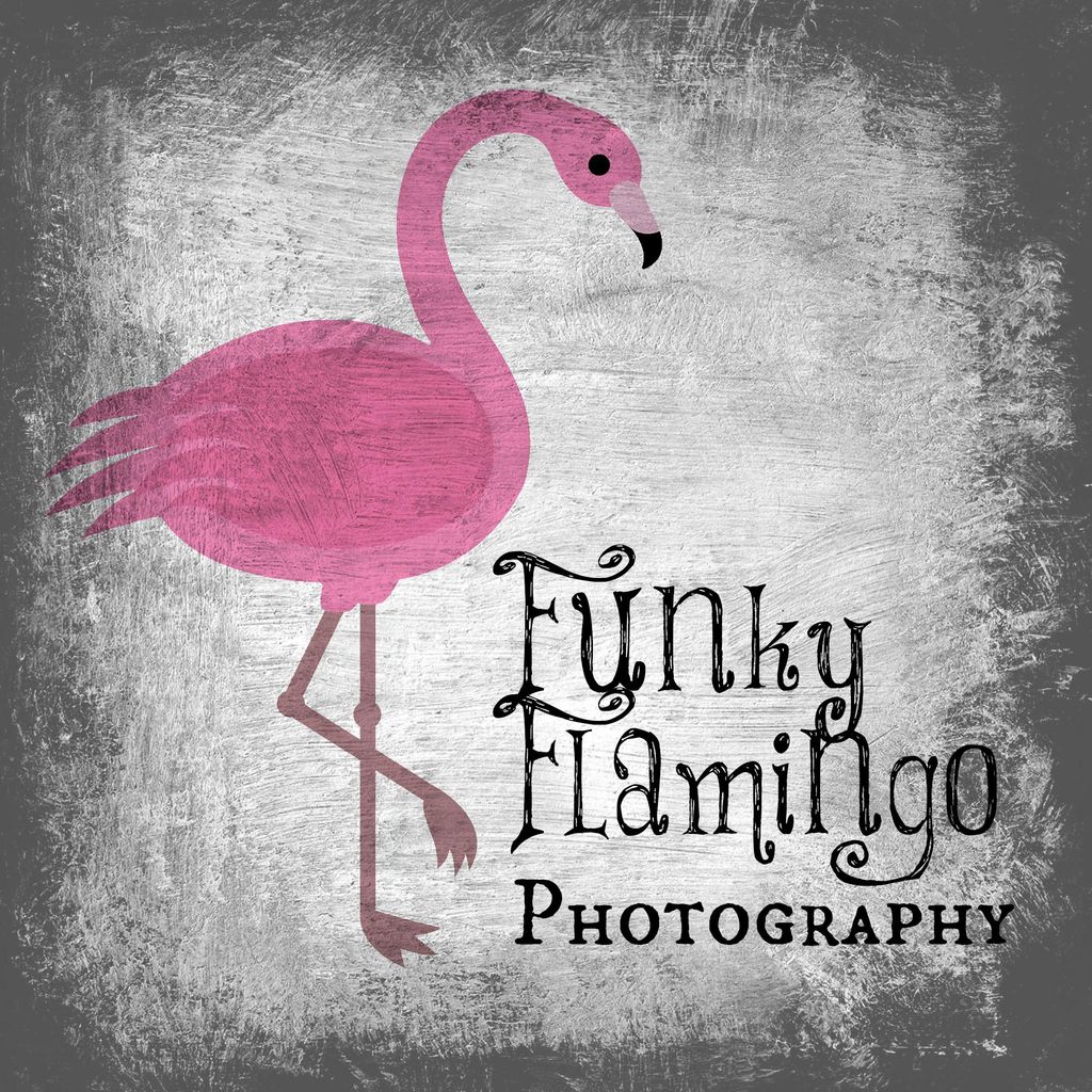 Funky Flamingo Photography