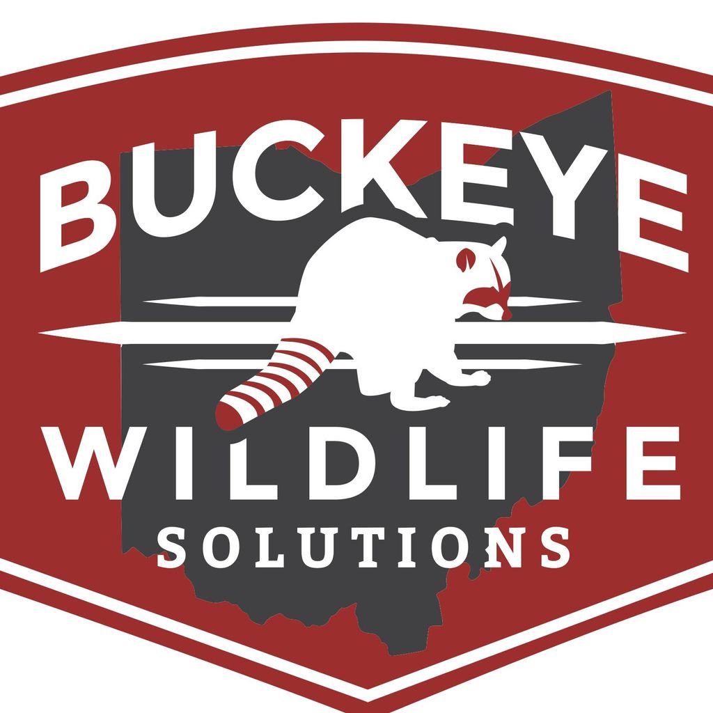 Buckeye Wildlife Solutions