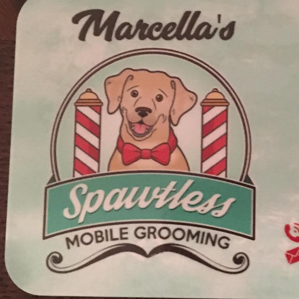 Spawtless mobile grooming